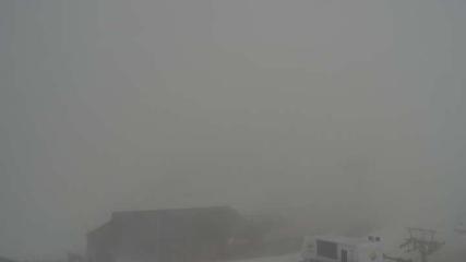 Sierra Nevada: Borreguiles (Sierranevada.es)