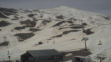Sierra Nevada: Borreguiles (Sierranevada.es)