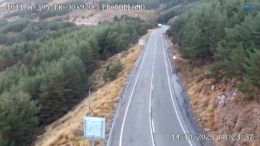 Webcam Sierra Nevada: Carretera acceso
