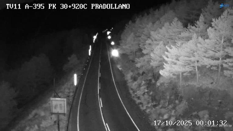 Webcam Sierra Nevada: Carretera acceso