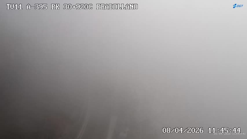 Webcam Sierra Nevada: Carretera acceso