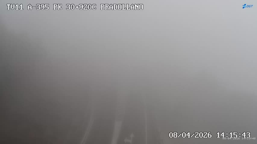 Webcam Sierra Nevada: Carretera acceso