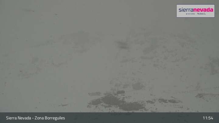 Webcam Sierra Nevada: Zona Visera