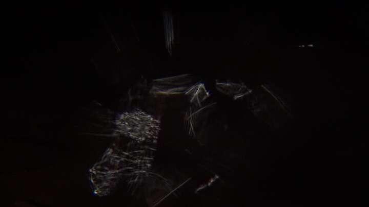 Webcam Sierra Nevada: Zona Visera