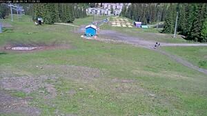 Silver Star: Alpine Meadows (skisilverstar.com)