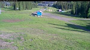 Silver Star: Alpine Meadows (skisilverstar.com)
