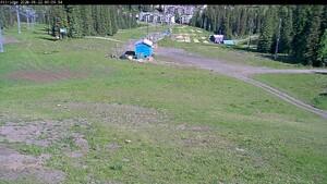 Silver Star: Alpine Meadows (skisilverstar.com)