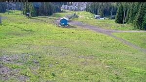 Webcam Silver Star: Alpine Meadows