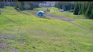 Webcam Silver Star: Alpine Meadows