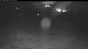 Webcam Silver Star: Alpine Meadows