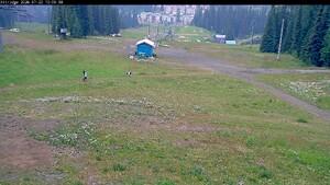 Silver Star: Alpine Meadows (skisilverstar.com)