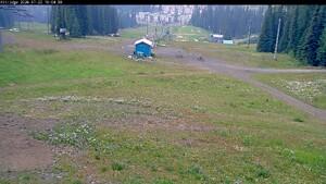 Silver Star: Alpine Meadows (skisilverstar.com)
