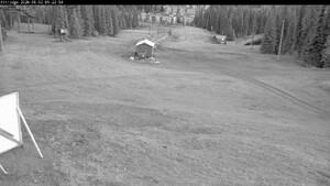 Silver Star: Alpine Meadows (skisilverstar.com)