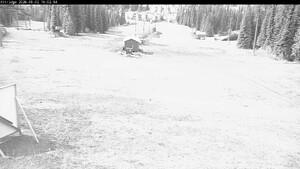 Silver Star webcam