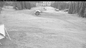 Silver Star: Alpine Meadows (skisilverstar.com)