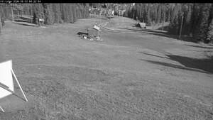 Silver Star: Alpine Meadows (skisilverstar.com)