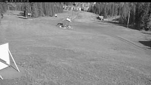 Silver Star: Alpine Meadows (skisilverstar.com)