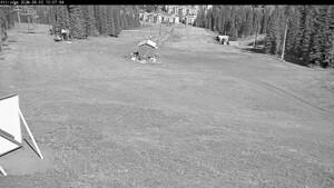 Webcam Silver Star: Alpine Meadows