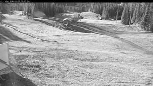 Silver Star: Alpine Meadows (skisilverstar.com)