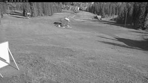 Silver Star: Alpine Meadows (skisilverstar.com)