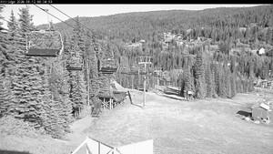 Silver Star: Alpine Meadows (skisilverstar.com)