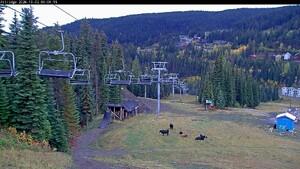 Silver Star: Alpine Meadows (skisilverstar.com)