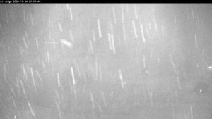 Webcam Silver Star: Alpine Meadows