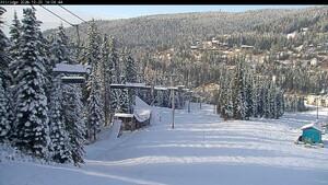 Webcam Silver Star: Alpine Meadows