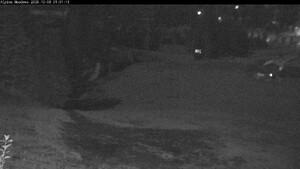 Webcam Silver Star: Alpine Meadows