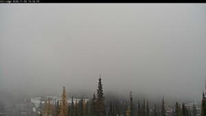 Silver Star: Alpine Meadows (skisilverstar.com)