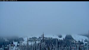 Silver Star: Alpine Meadows (skisilverstar.com)