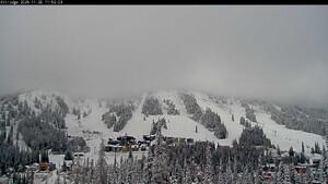 Webcam Silver Star: Alpine Meadows