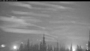 Silver Star: Alpine Meadows (skisilverstar.com)