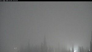 Silver Star: Alpine Meadows (skisilverstar.com)