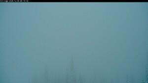 Silver Star: Alpine Meadows (skisilverstar.com)