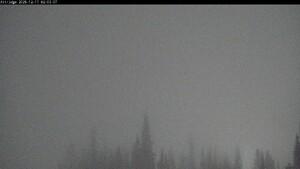 Silver Star: Alpine Meadows (skisilverstar.com)