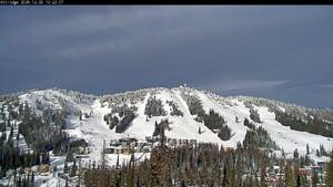 Silver Star: Alpine Meadows (skisilverstar.com)