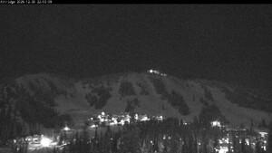 Webcam Silver Star: Alpine Meadows