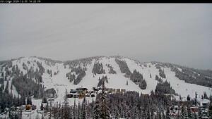 Webcam Silver Star: Alpine Meadows