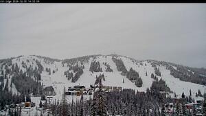 Webcam Silver Star: Alpine Meadows