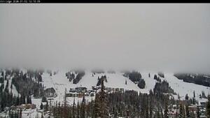 Silver Star: Alpine Meadows (skisilverstar.com)