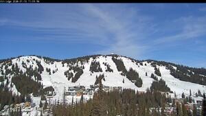 Silver Star: Alpine Meadows (skisilverstar.com)