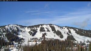 Webcam Silver Star: Alpine Meadows