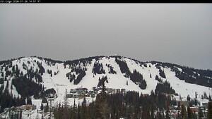 Silver Star: Alpine Meadows (skisilverstar.com)