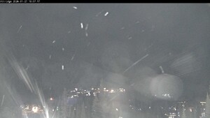 Webcam Silver Star: Alpine Meadows