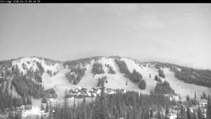 Silver Star: Alpine Meadows (skisilverstar.com)