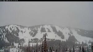 Webcam Silver Star: Alpine Meadows