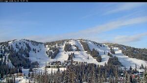Webcam Silver Star: Alpine Meadows