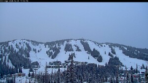 Webcam Silver Star: Alpine Meadows