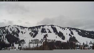 Webcam Silver Star: Alpine Meadows